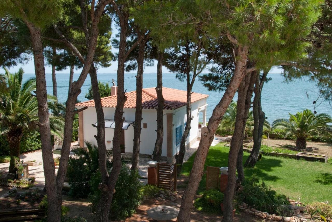 Sargantana Blava Villa Sant Carlos de la Ràpita Exterior foto